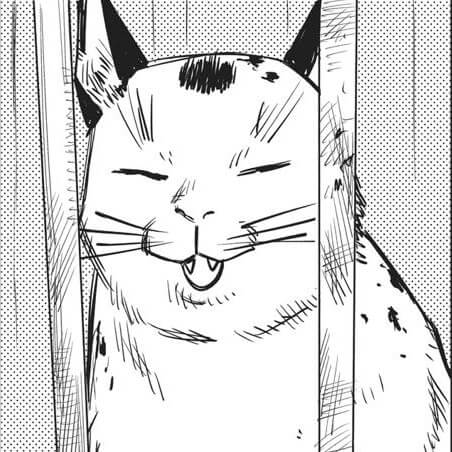 Chainsaw Man Manga Chapter 10 (Kon) cover